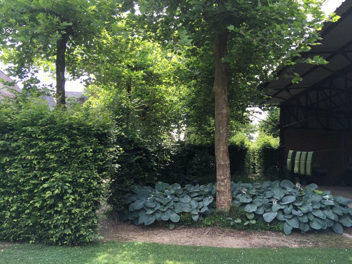 Вілла Neerhof Neerlinter Екстер'єр фото